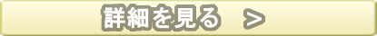 詳細を見る